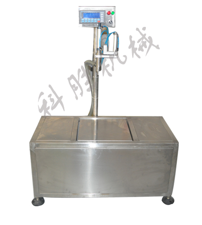 DG-30单头液体称重式灌装机